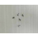 PAN SCREW 4*8MM