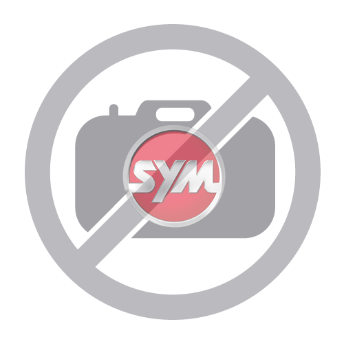 SPORT SCREEN SYM FUGUE 125 E5+ SMOKE