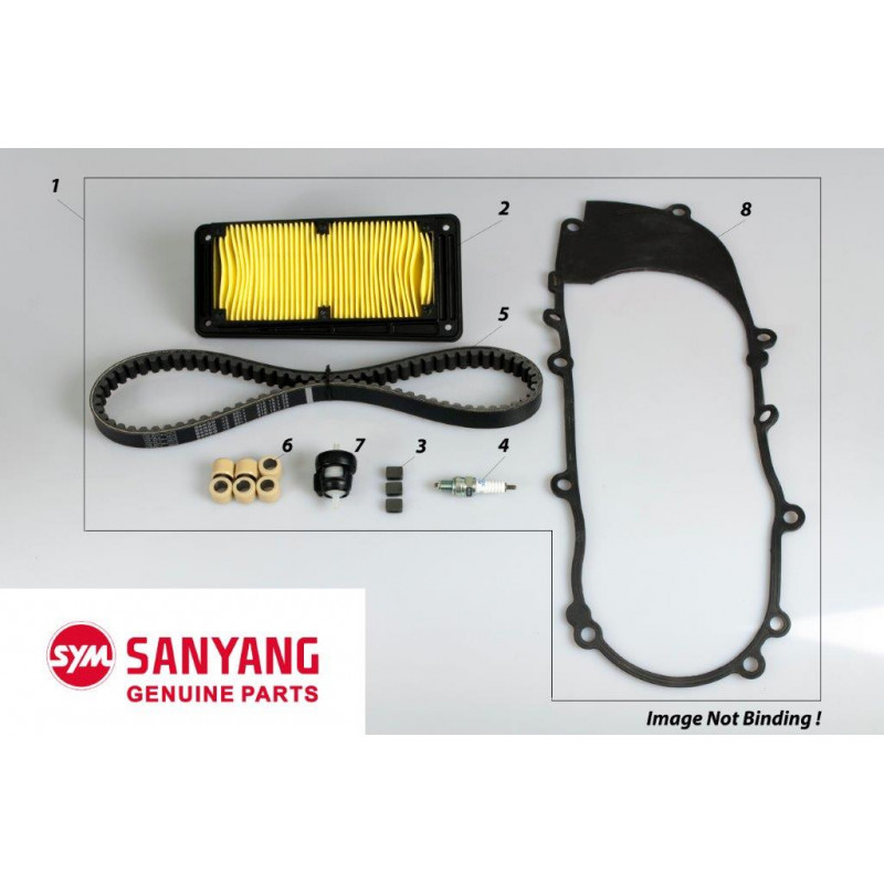 KIT ENTRETIEN 300CC GTS EFI LM( 2012)