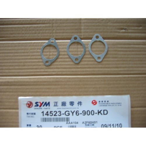 TENSIONER LIFTER GASKET