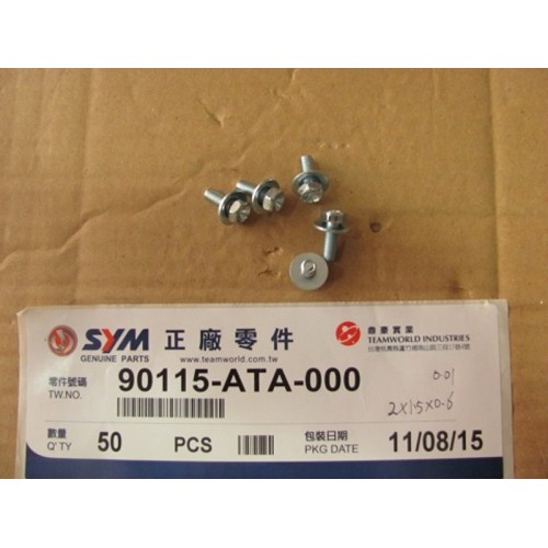 BOULON 6X16