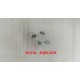 BOULON 8X20