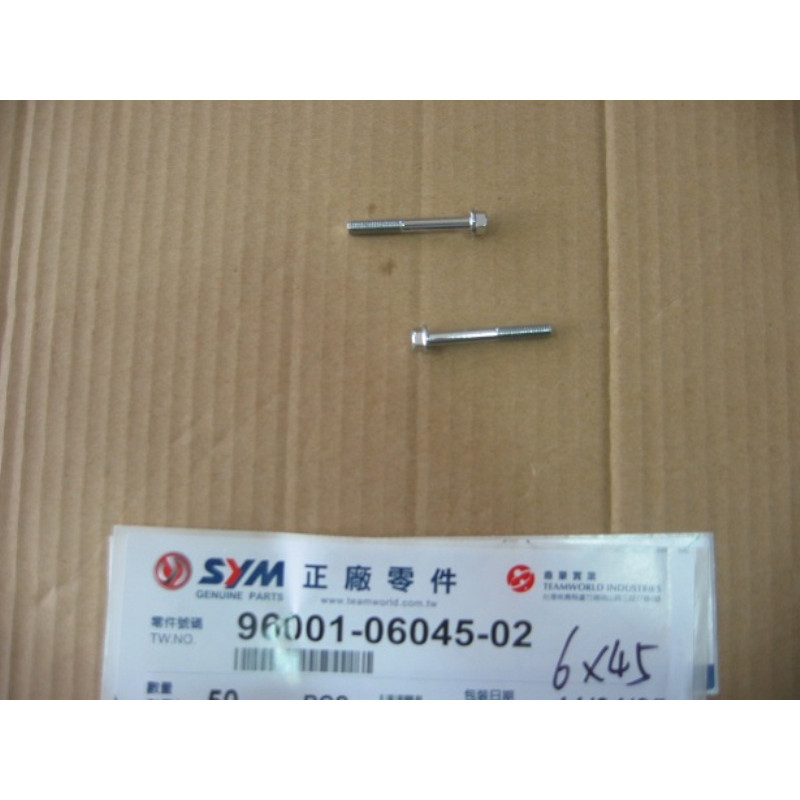 BOULON M6*45